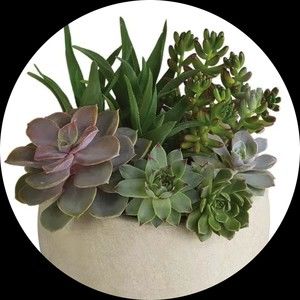 Meet your Posher, My